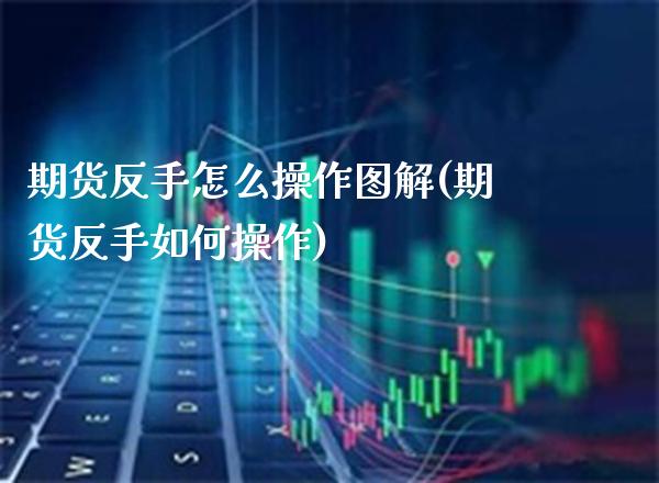 期货反手怎么操作图解(期货反手如何操作)_https://www.xmqjcw.com_期货投资_第1张