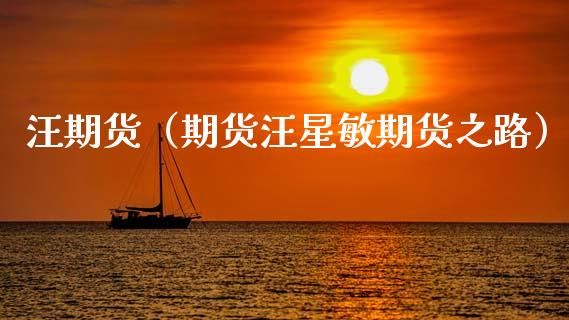 汪期货（期货汪星敏期货之路）_https://www.xmqjcw.com_期货直播室_第1张