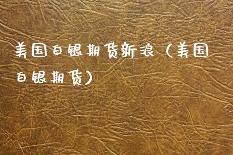 美国白银期货新浪（美国 白银期货）_https://www.xmqjcw.com_期货直播室_第1张