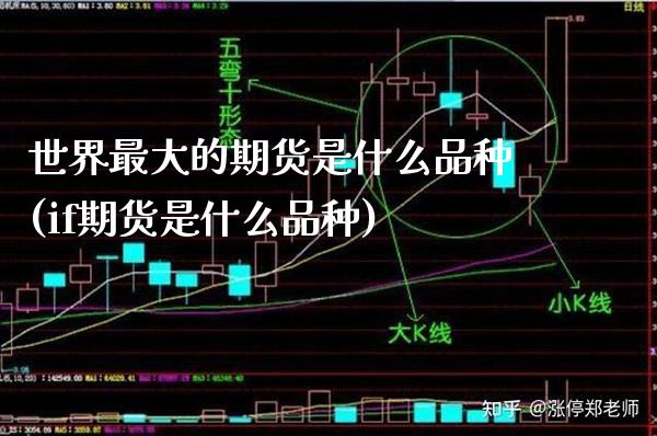 世界最大的期货是什么品种(if期货是什么品种)_https://www.xmqjcw.com_期货投资_第1张