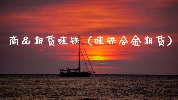 商品期货硅铁（硅铁合金期货）_https://www.xmqjcw.com_期货投资_第1张