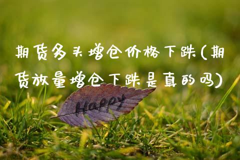 期货多头增仓价格下跌(期货放量增仓下跌是真的吗)_https://www.xmqjcw.com_期货开户_第1张
