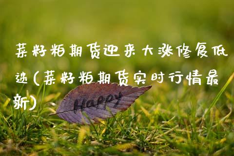 菜籽粕期货迎来大涨修复低迷(菜籽粕期货实时行情最新)_https://www.xmqjcw.com_期货百科_第1张