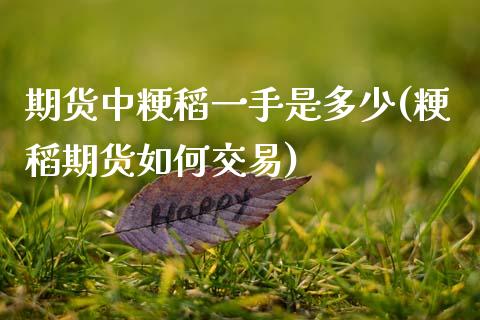 期货中粳稻一手是多少(粳稻期货如何交易)_https://www.xmqjcw.com_期货行情_第1张