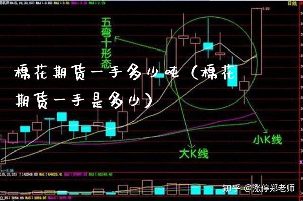 棉花期货一手多少吨（棉花期货一手是多少）_https://www.xmqjcw.com_期货投资_第1张