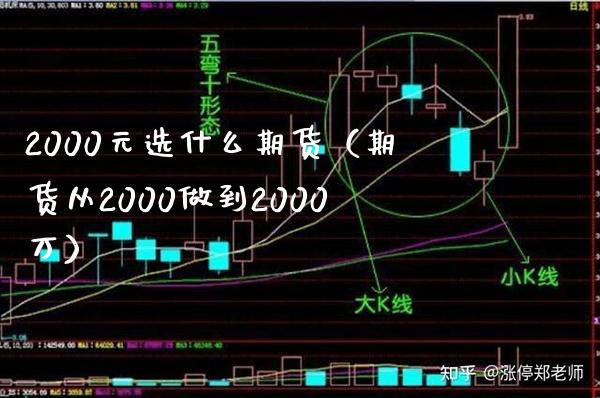 2000元选什么期货（期货从2000做到2000万）_https://www.xmqjcw.com_期货投资_第1张