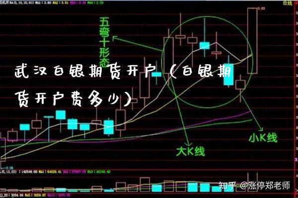 武汉白银期货开户（白银期货开户费多少）_https://www.xmqjcw.com_期货直播室_第1张
