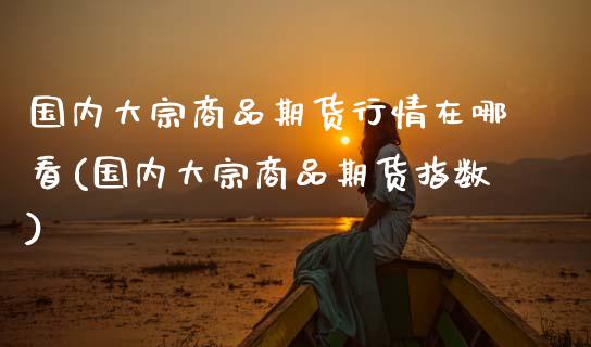 国内大宗商品期货行情在哪看(国内大宗商品期货指数)_https://www.xmqjcw.com_期货行情_第1张