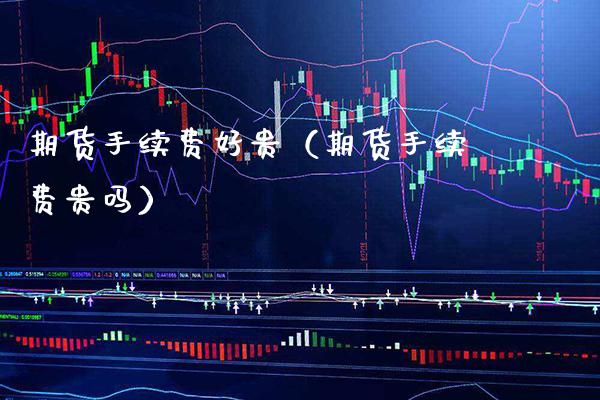 期货手续费好贵（期货手续费贵吗）_https://www.xmqjcw.com_期货直播室_第1张