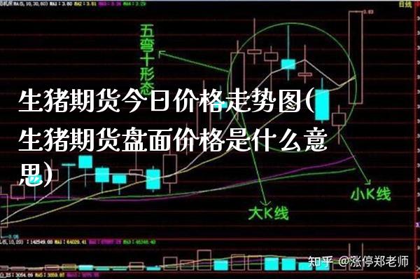 生猪期货今日价格走势图(生猪期货盘面价格是什么意思)_https://www.xmqjcw.com_期货投资_第1张