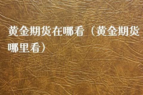 黄金期货在哪看（黄金期货哪里看）_https://www.xmqjcw.com_期货投资_第1张