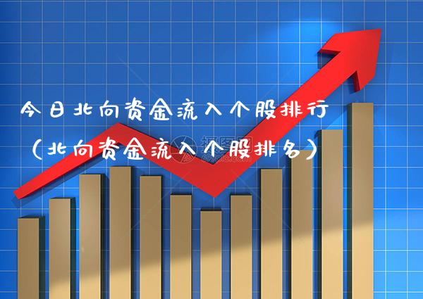 今日北向资金流入个股排行（北向资金流入个股排名）_https://www.xmqjcw.com_期货投资_第1张