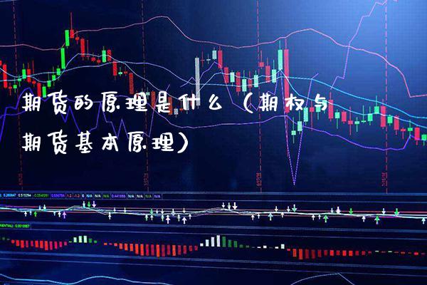 期货的原理是什么（期权与期货基本原理）_https://www.xmqjcw.com_期货投资_第1张