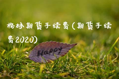 格林期货手续费(期货手续费2020)_https://www.xmqjcw.com_期货百科_第1张