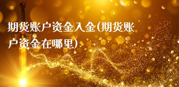 期货账户资金入金(期货账户资金在哪里)_https://www.xmqjcw.com_期货开户_第1张