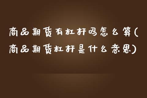 商品期货有杠杆吗怎么算(商品期货杠杆是什么意思)_https://www.xmqjcw.com_期货行情_第1张