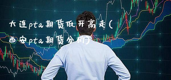 大连pta期货低开高走(西安pta期货分析)_https://www.xmqjcw.com_基金理财_第1张