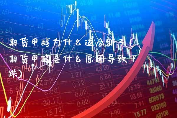 期货甲醇为什么适合新手(期货甲醇是什么原因导致下跌)_期货百科_第1张_秦聚理财 期货甲醇为什么适合新手(期货甲醇是什么原因导致下跌)_https://www.xmqjcw.com_期货百科_第1张