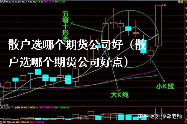 散户选哪个期货公司好（散户选哪个期货公司好点）_https://www.xmqjcw.com_期货行情_第1张