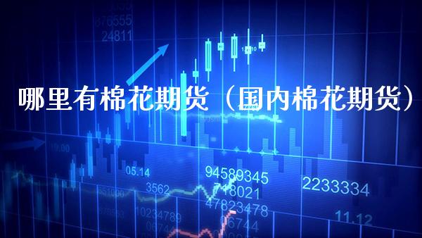 哪里有棉花期货（国内棉花期货）_https://www.xmqjcw.com_期货行情_第1张