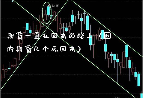 期货一直在回本的路上（国内期货几个点回本）_https://www.xmqjcw.com_期货投资_第1张