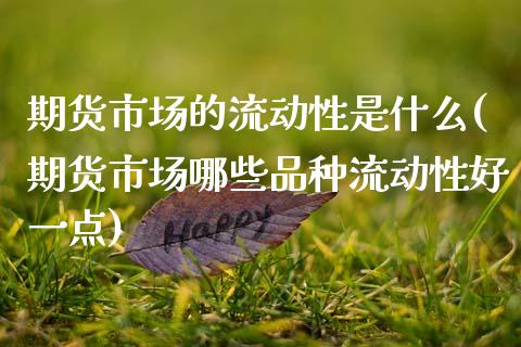期货市场的流动性是什么(期货市场哪些品种流动性好一点)_https://www.xmqjcw.com_股票投资_第1张