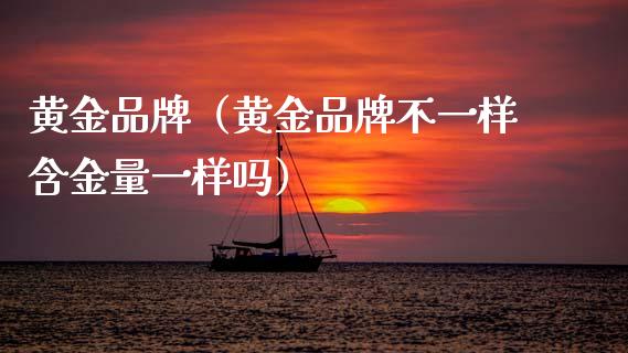 黄金品牌（黄金品牌不一样含金量一样吗）_https://www.xmqjcw.com_期货直播室_第1张