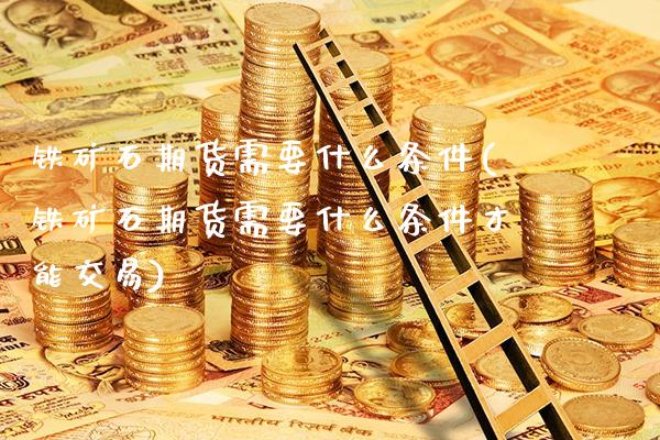 铁矿石期货需要什么条件(铁矿石期货需要什么条件才能交易)_https://www.xmqjcw.com_期货行情_第1张