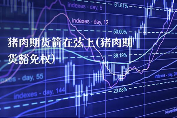猪肉期货箭在弦上(猪肉期货豁免权)_https://www.xmqjcw.com_期货百科_第1张
