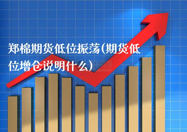 郑棉期货低位振荡(期货低位增仓说明什么)_https://www.xmqjcw.com_期货开户_第1张
