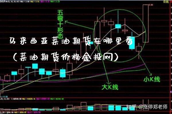马来西亚菜油期货在哪里看（菜油期货价格金投网）_https://www.xmqjcw.com_期货投资_第1张
