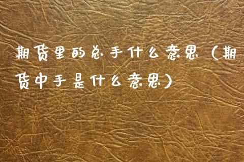期货里的总手什么意思（期货中手是什么意思）_https://www.xmqjcw.com_期货直播室_第1张