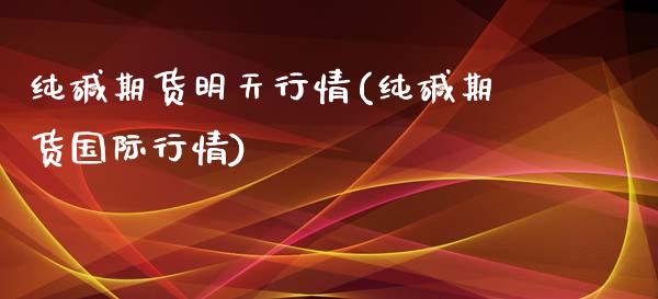 纯碱期货明天行情(纯碱期货国际行情)_https://www.xmqjcw.com_基金理财_第1张