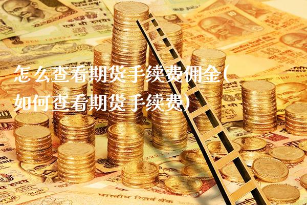 怎么查看期货手续费佣金(如何查看期货手续费)_https://www.xmqjcw.com_期货百科_第1张
