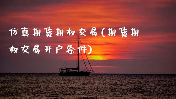 仿真期货期权交易(期货期权交易开户条件)_https://www.xmqjcw.com_股票投资_第1张
