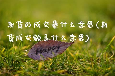 期货的成交量什么意思(期货成交额是什么意思)_https://www.xmqjcw.com_期货百科_第1张