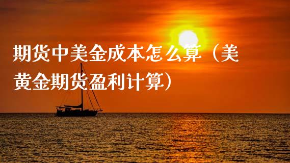 期货中美金成本怎么算（美黄金期货盈利计算）_https://www.xmqjcw.com_期货投资_第1张