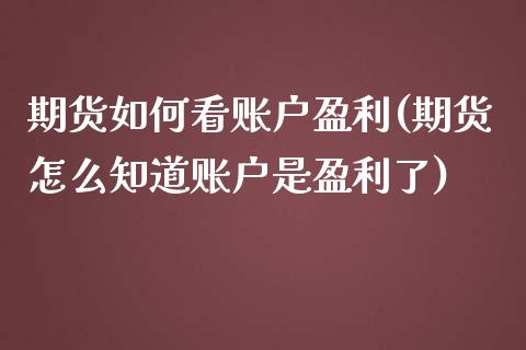 期货如何看账户盈利(期货怎么知道账户是盈利了)_https://www.xmqjcw.com_基金理财_第1张