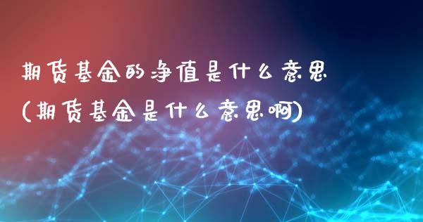 期货基金的净值是什么意思(期货基金是什么意思啊)_https://www.xmqjcw.com_基金理财_第1张