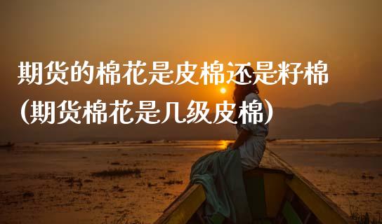 期货的棉花是皮棉还是籽棉(期货棉花是几级皮棉)_https://www.xmqjcw.com_期货开户_第1张