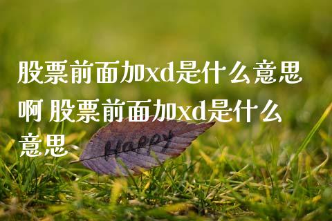 股票前面加xd是什么意思啊 股票前面加xd是什么意思_https://www.xmqjcw.com_股票投资_第1张