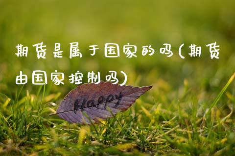 期货是属于国家的吗(期货由国家控制吗)_https://www.xmqjcw.com_期货投资_第1张