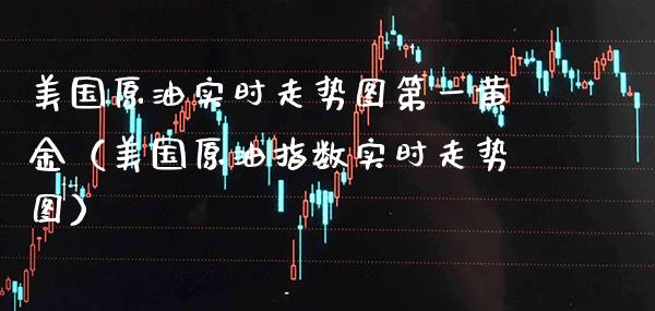 美国原油实时走势图第一黄金（美国原油指数实时走势图）_https://www.xmqjcw.com_期货投资_第1张