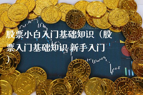 股票小白入门基础知识（股票入门基础知识 新手入门）_https://www.xmqjcw.com_期货直播室_第1张