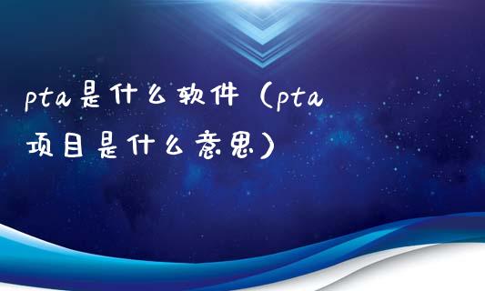 pta是什么软件（pta项目是什么意思）_https://www.xmqjcw.com_期货直播室_第1张