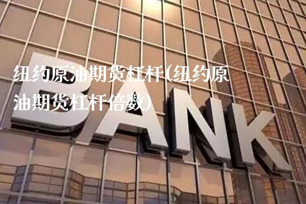 纽约原油期货杠杆(纽约原油期货杠杆倍数)_https://www.xmqjcw.com_期货投资_第1张