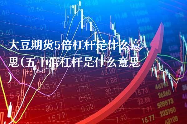 大豆期货5倍杠杆是什么意思(五十倍杠杆是什么意思)_https://www.xmqjcw.com_期货百科_第1张