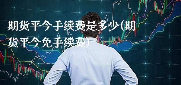 期货平今手续费是多少(期货平今免手续费)_https://www.xmqjcw.com_期货百科_第1张
