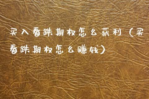 买入看跌期权怎么获利（买看跌期权怎么赚钱）_https://www.xmqjcw.com_期货行情_第1张