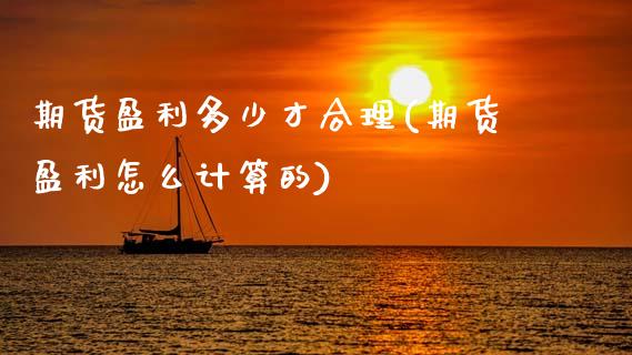 期货盈利多少才合理(期货盈利怎么计算的)_https://www.xmqjcw.com_期货直播室_第1张